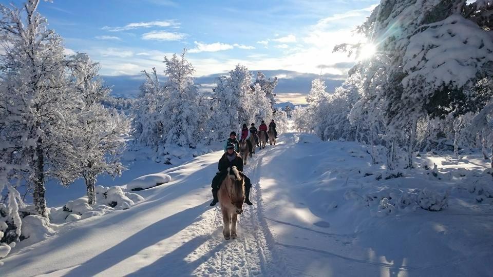 Langedrag Naturpark Tunhovd Luaran gambar