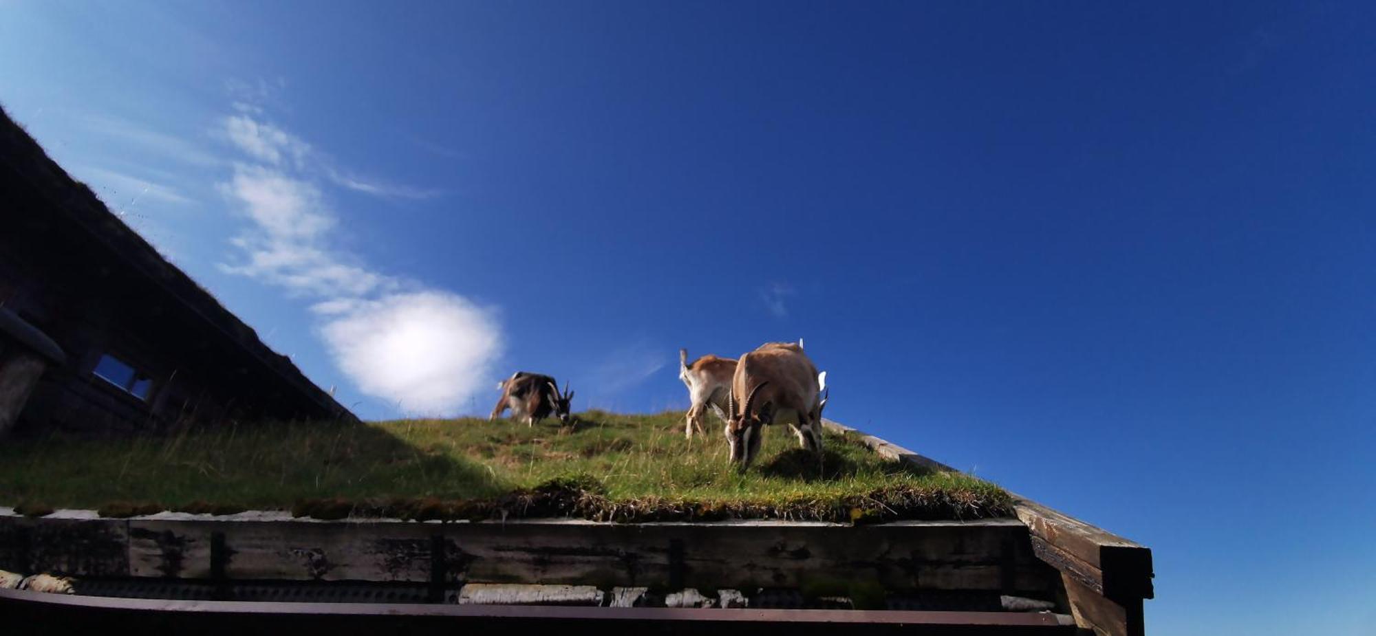 Langedrag Naturpark Tunhovd Luaran gambar
